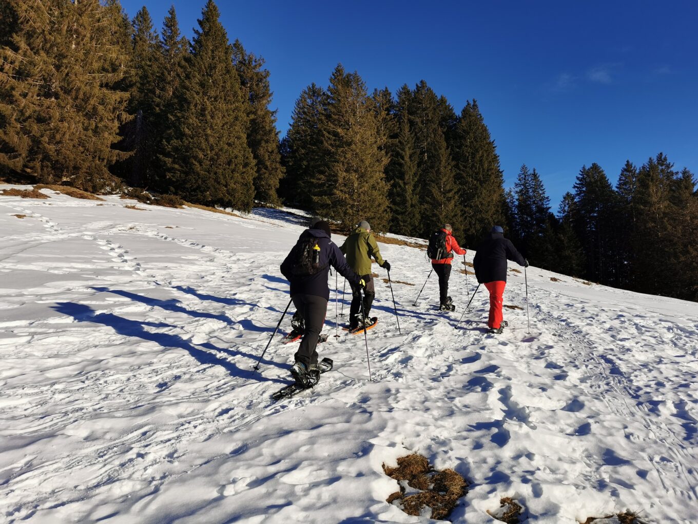 ABGESAGT: Schneeschuhlaufen im Langis/Glaubenberg